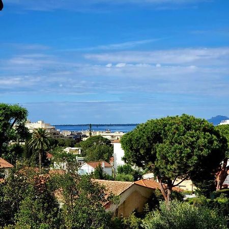 Grand Studio Localisation Ideale Antibes Buitenkant foto